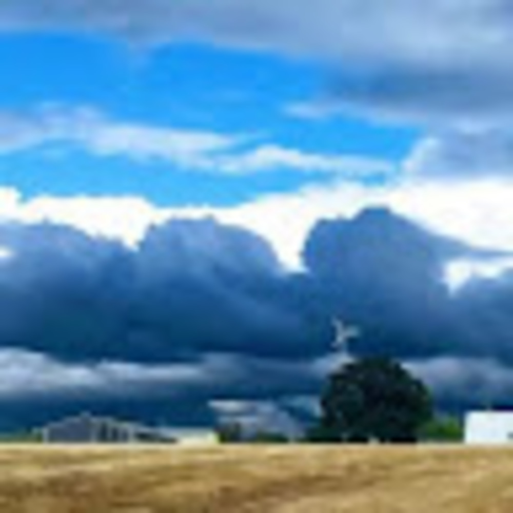 Meet your Posher, Milly